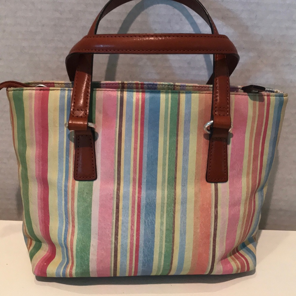 Fossil (ZB 7013) Multicolor Mini Bag